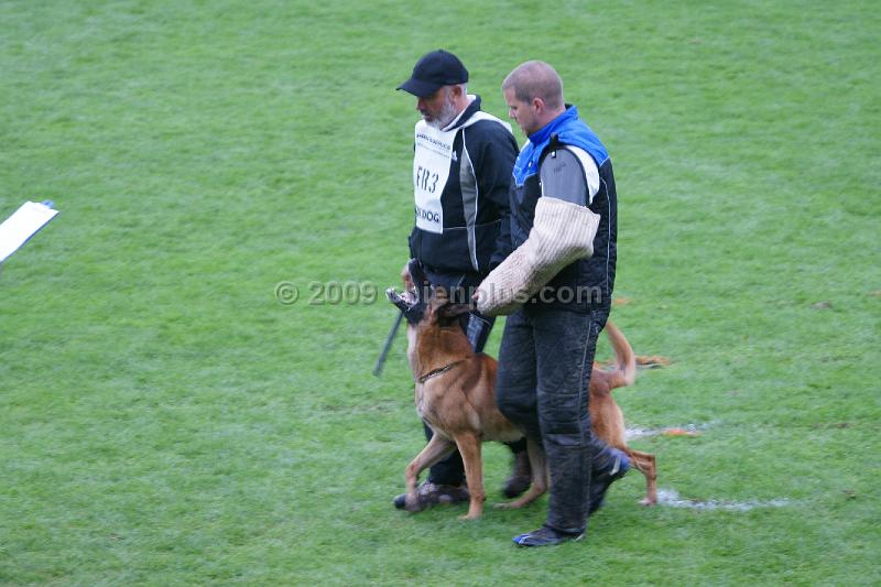 VIP des Loups Mutins119.JPG